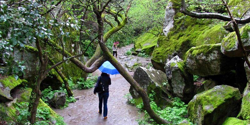 В-дождь-по-алупкинскому-парку